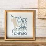 5179-08 Cats Have Staff